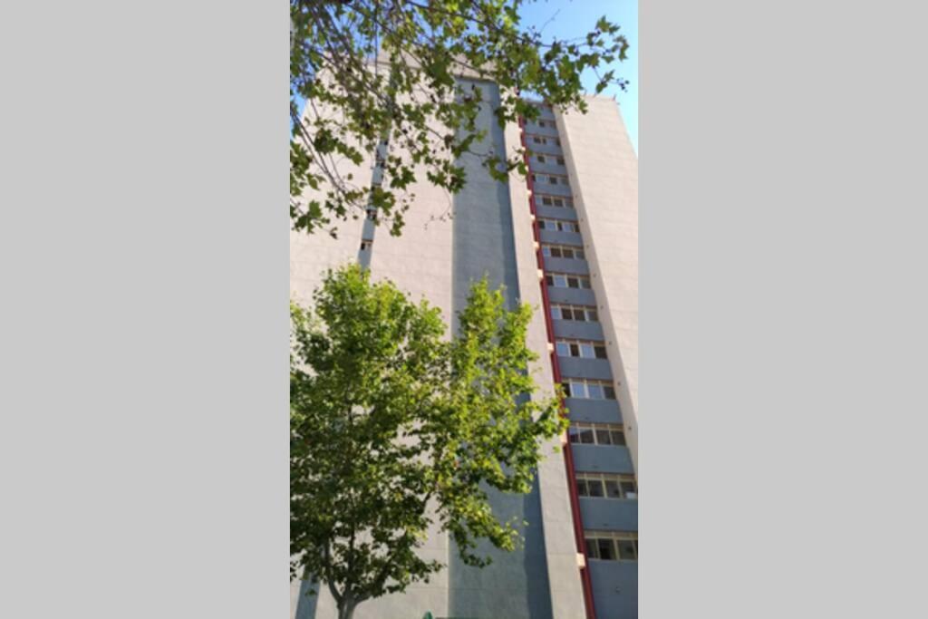 Apartamento Moderno Benidorm Eksteriør billede