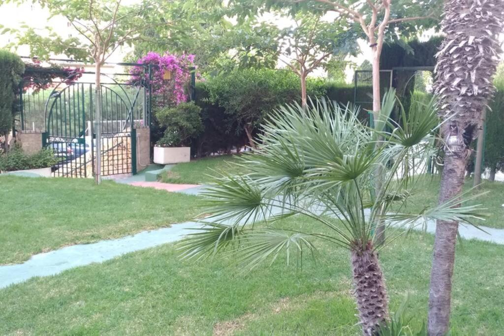 Apartamento Moderno Benidorm Eksteriør billede